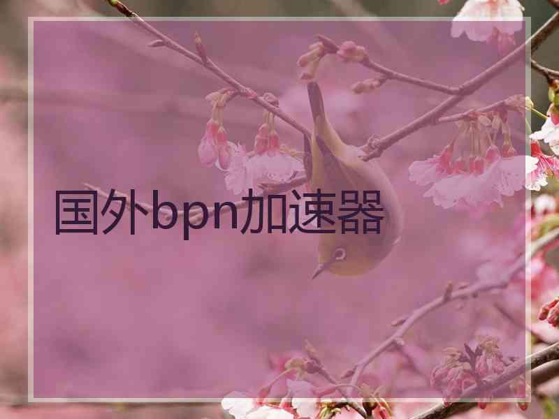 国外bpn加速器