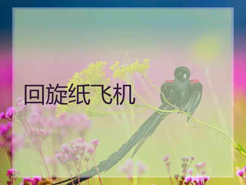 回旋纸飞机