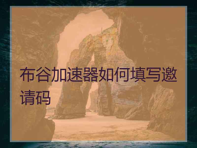 布谷加速器如何填写邀请码