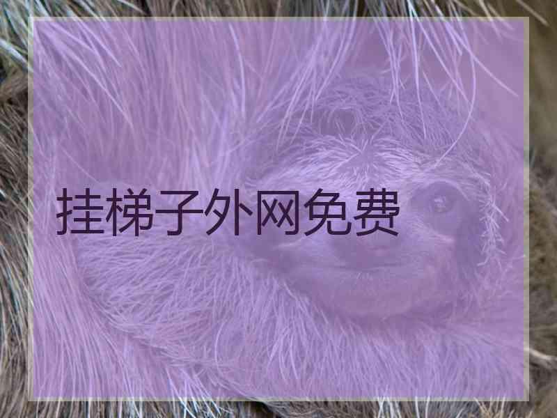 挂梯子外网免费