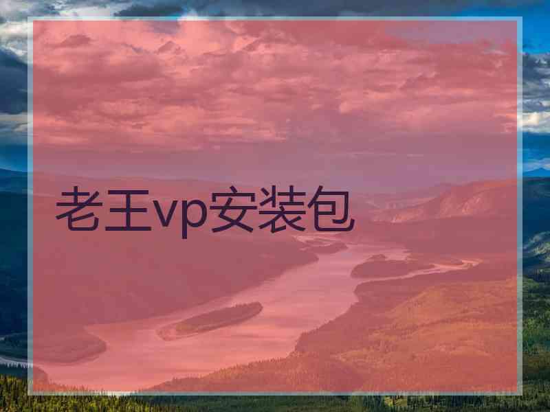 老王vp安装包