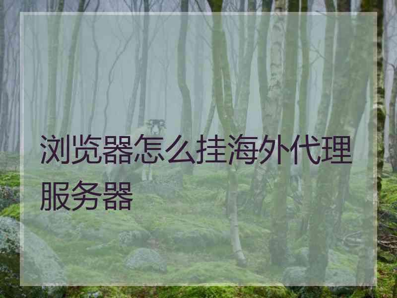 浏览器怎么挂海外代理服务器