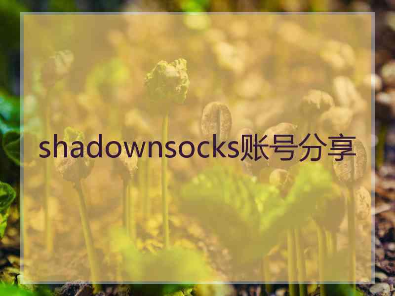 shadownsocks账号分享