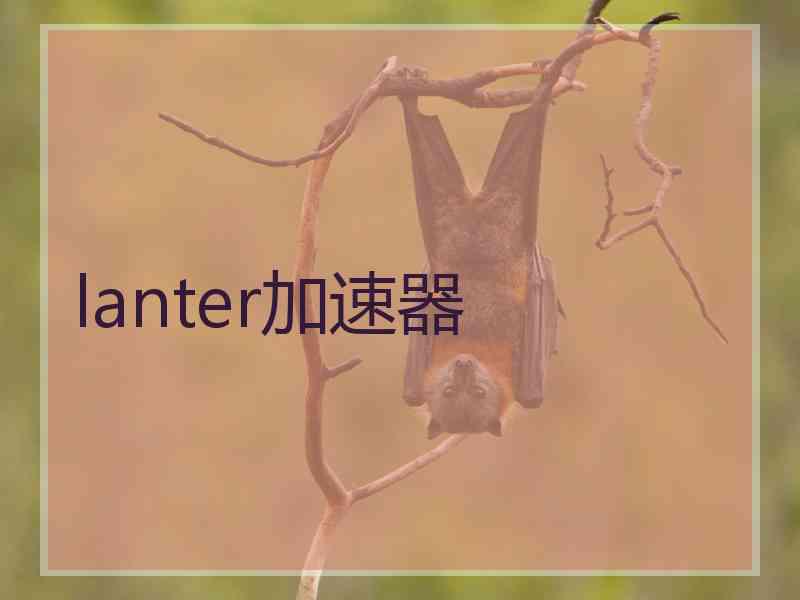 lanter加速器