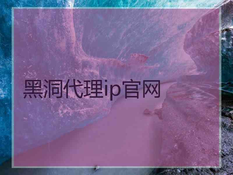 黑洞代理ip官网
