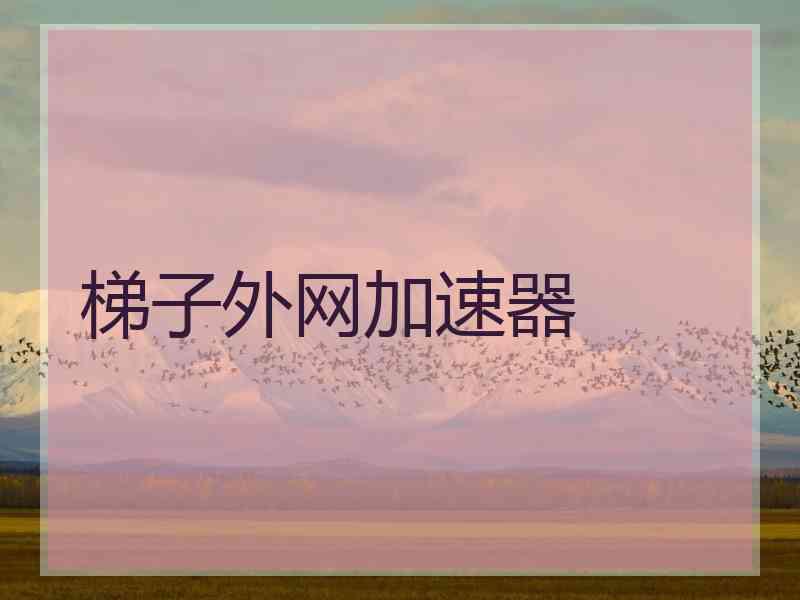 梯子外网加速器