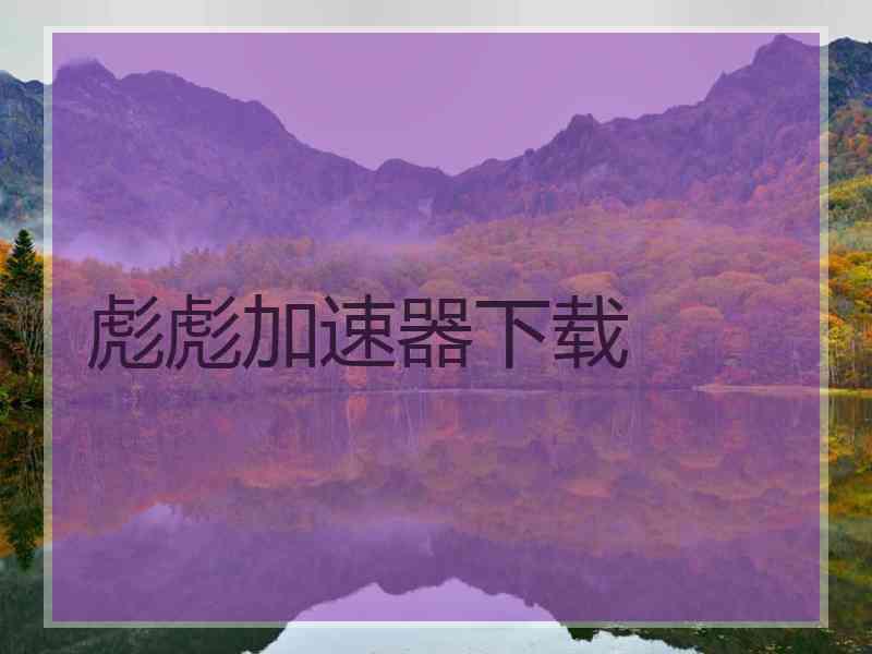 彪彪加速器下载