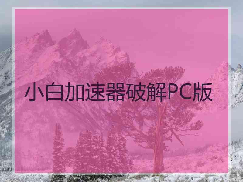 小白加速器破解PC版