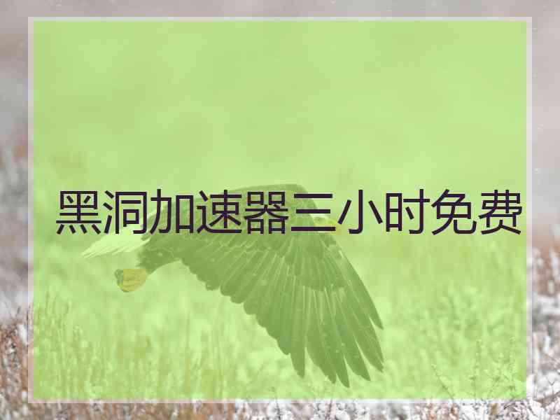 黑洞加速器三小时免费