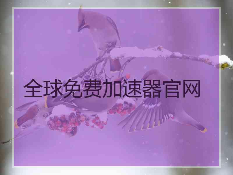 全球免费加速器官网
