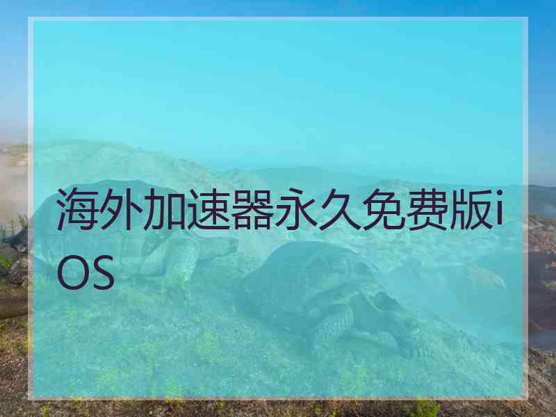 海外加速器永久免费版iOS