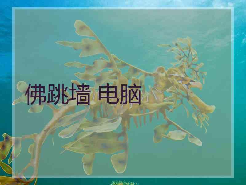 佛跳墙 电脑