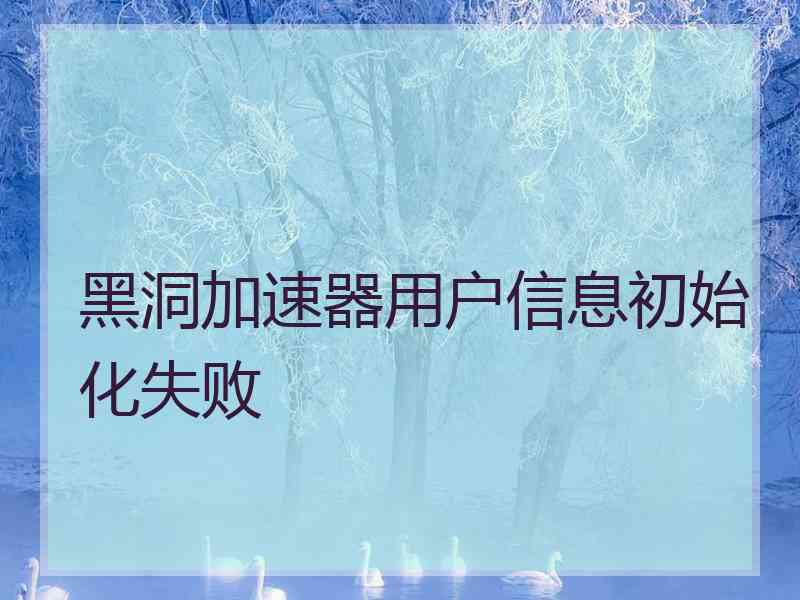 黑洞加速器用户信息初始化失败