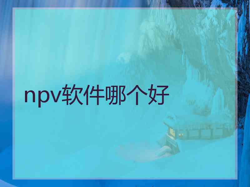 npv软件哪个好