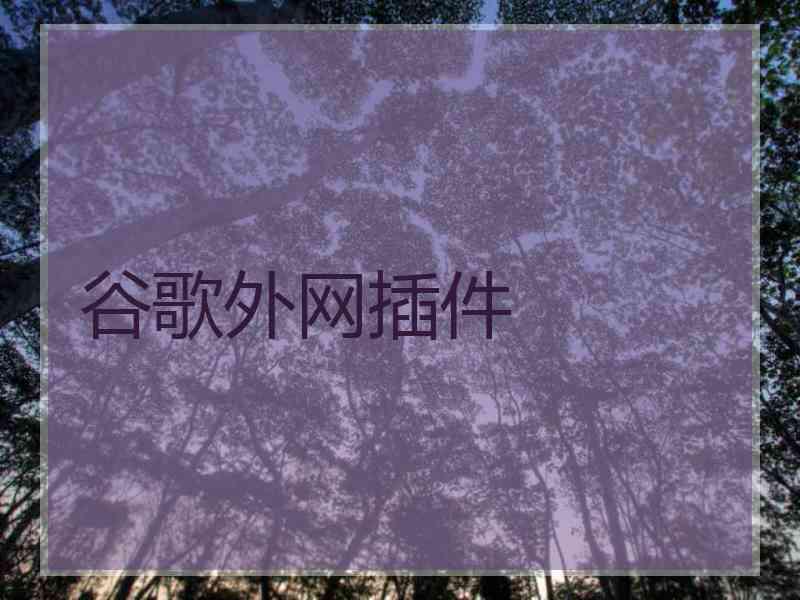 谷歌外网插件
