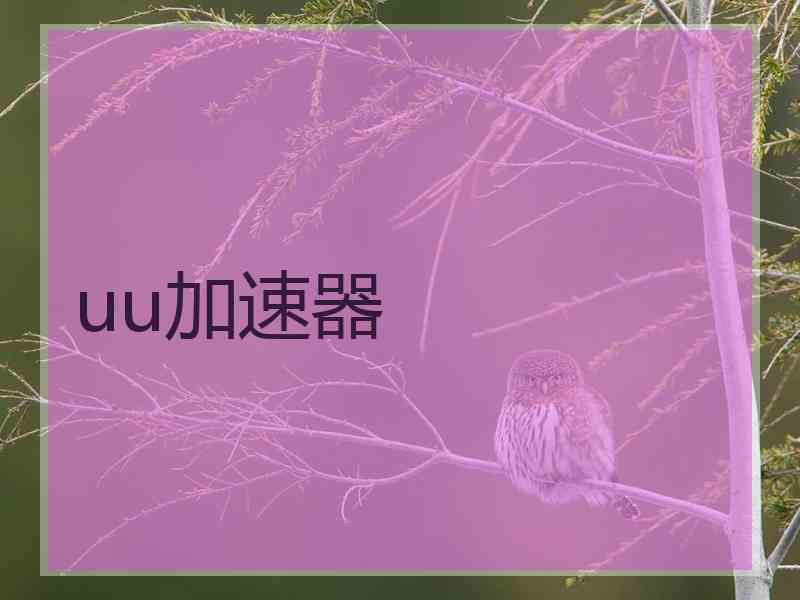 uu加速器