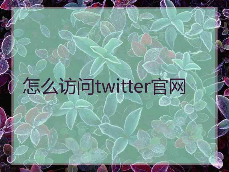 怎么访问twitter官网