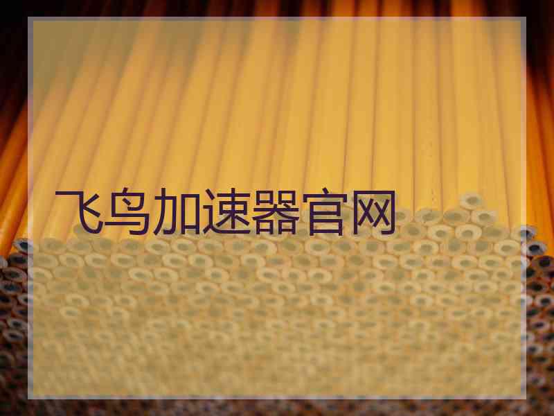 飞鸟加速器官网