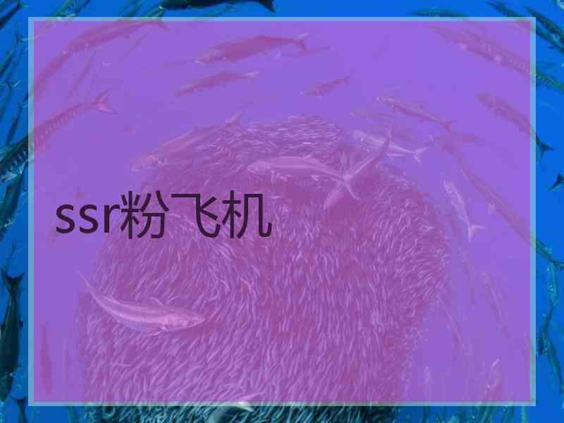 ssr粉飞机