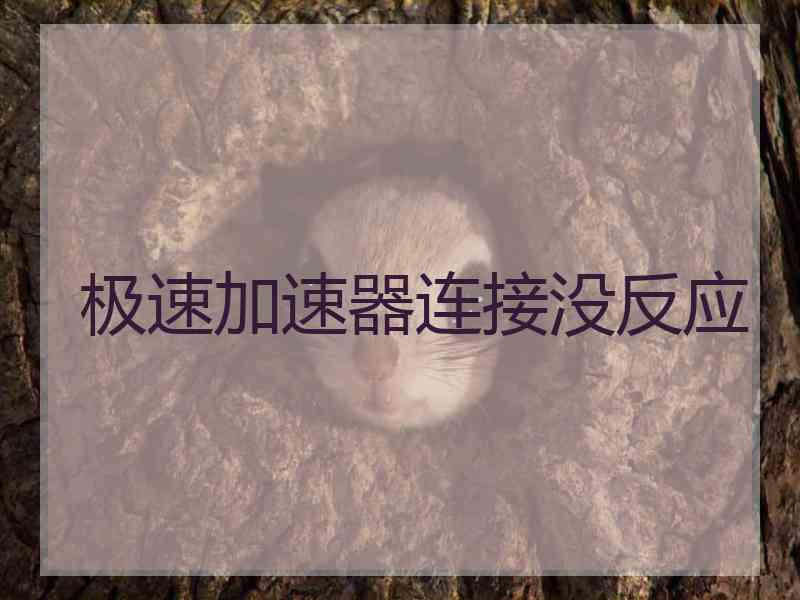 极速加速器连接没反应