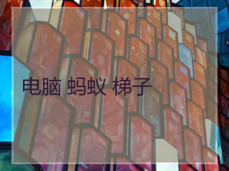 电脑 蚂蚁 梯子