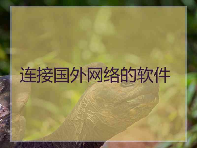 连接国外网络的软件