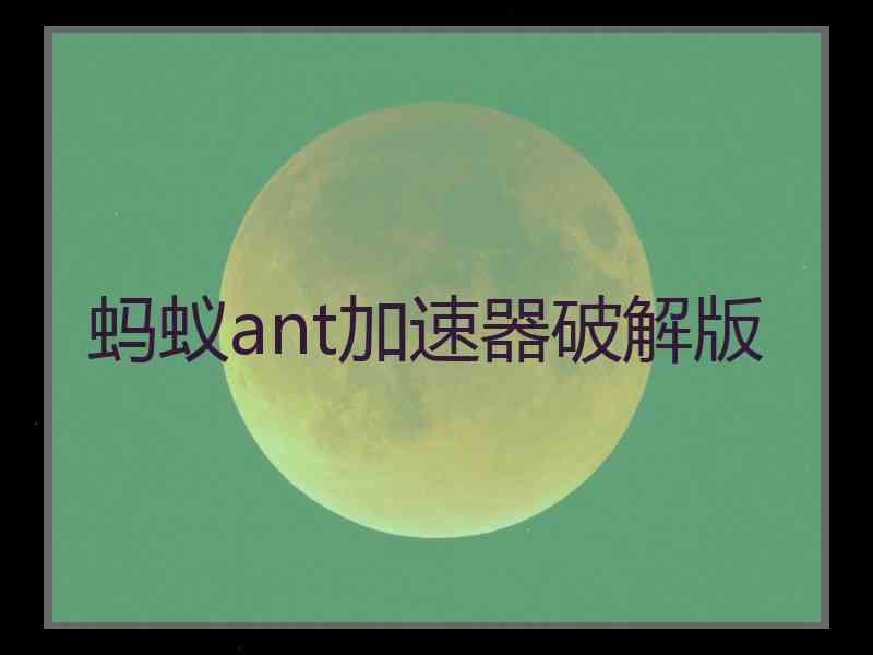 蚂蚁ant加速器破解版
