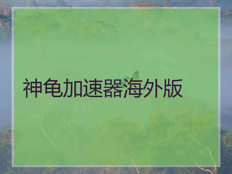 神龟加速器海外版