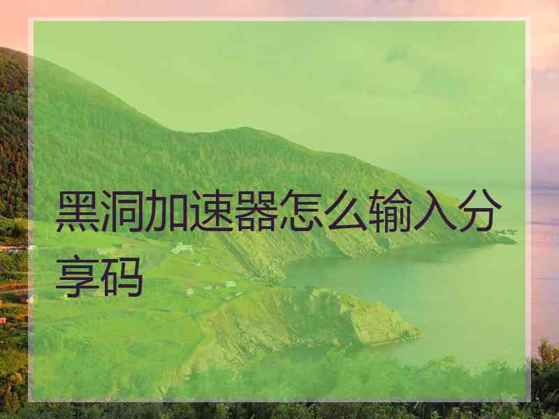 黑洞加速器怎么输入分享码