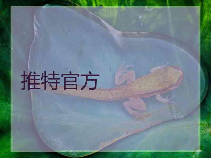 推特官方