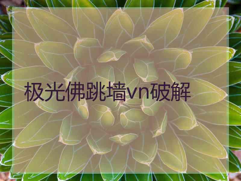 极光佛跳墙vn破解