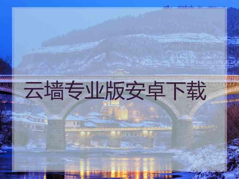 云墙专业版安卓下载