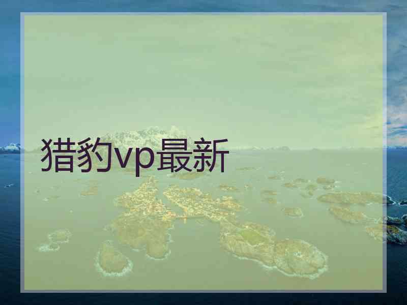 猎豹vp最新