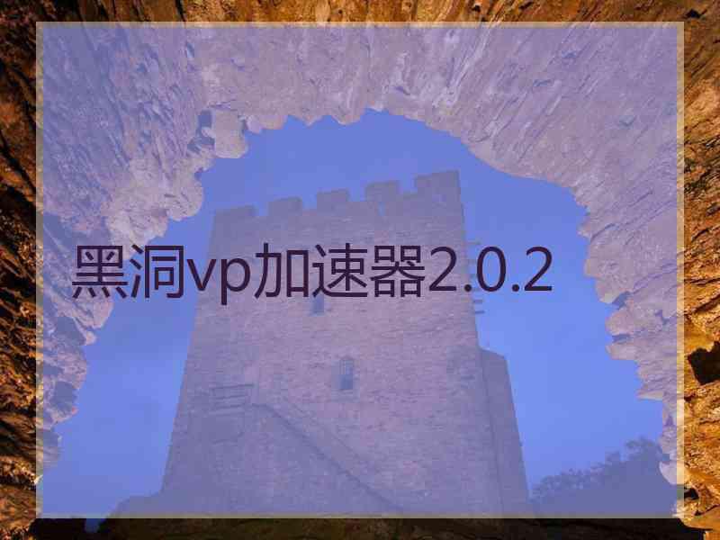 黑洞vp加速器2.0.2