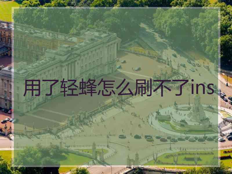 用了轻蜂怎么刷不了ins