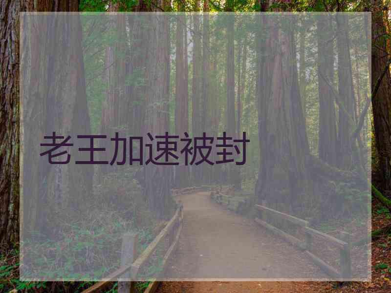 老王加速被封