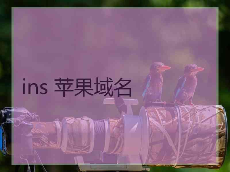 ins 苹果域名