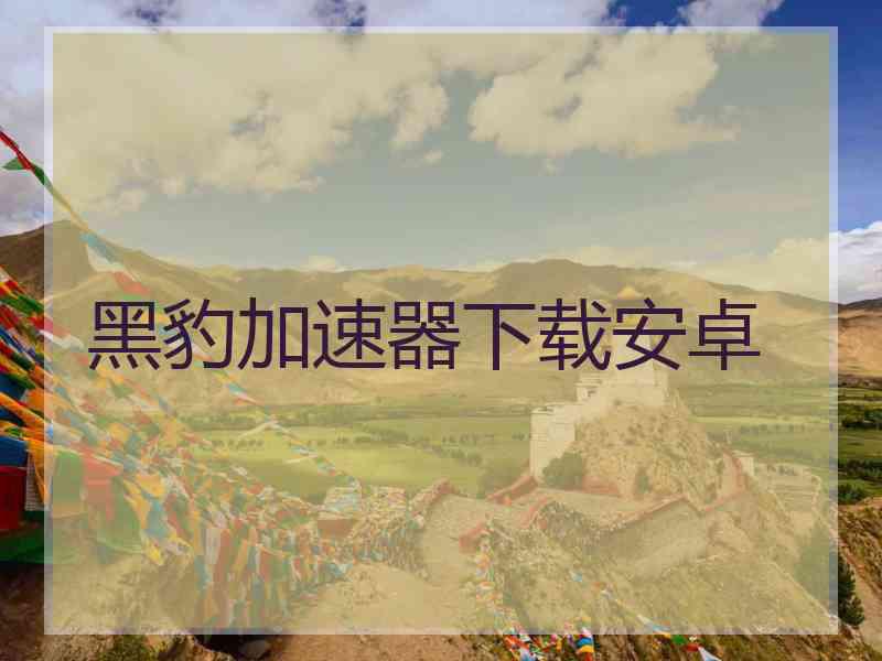 黑豹加速器下载安卓