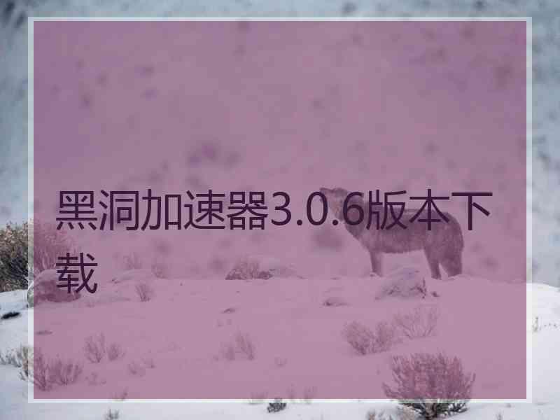 黑洞加速器3.0.6版本下载
