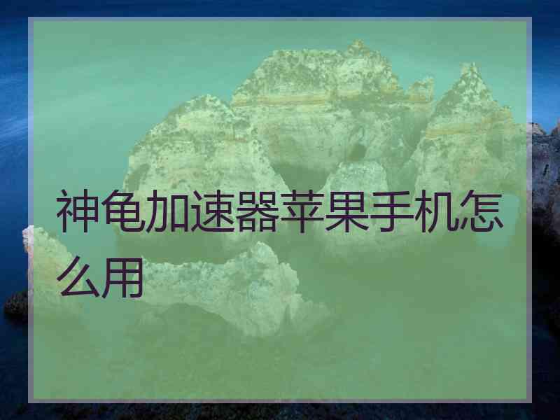 神龟加速器苹果手机怎么用
