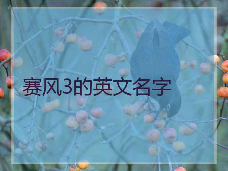 赛风3的英文名字