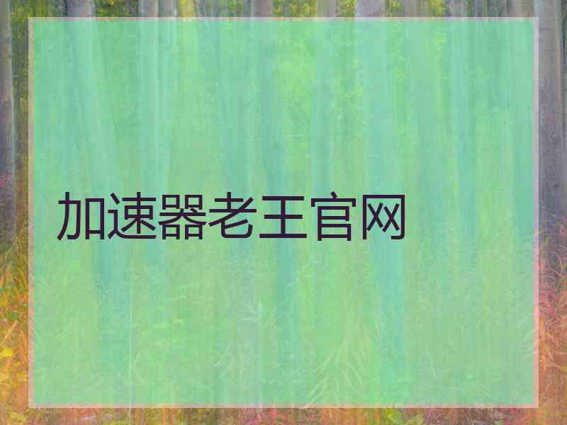 加速器老王官网