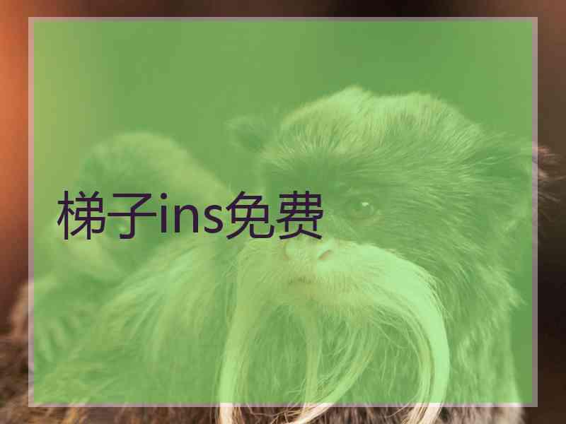 梯子ins免费