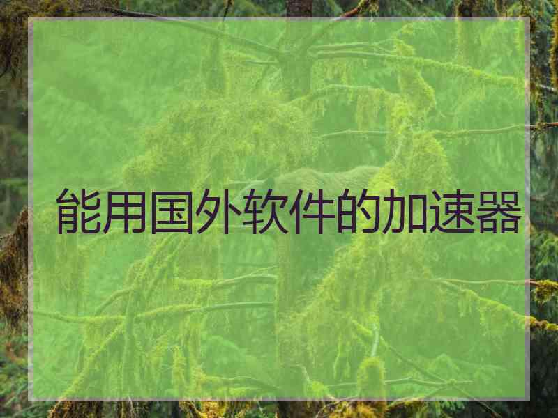 能用国外软件的加速器