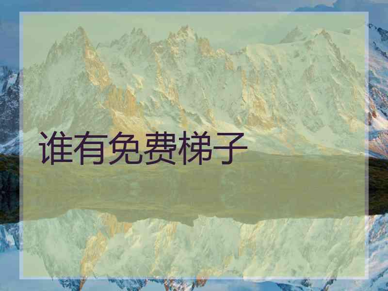 谁有免费梯子