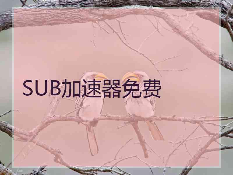 SUB加速器免费
