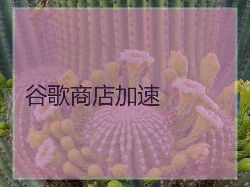 谷歌商店加速