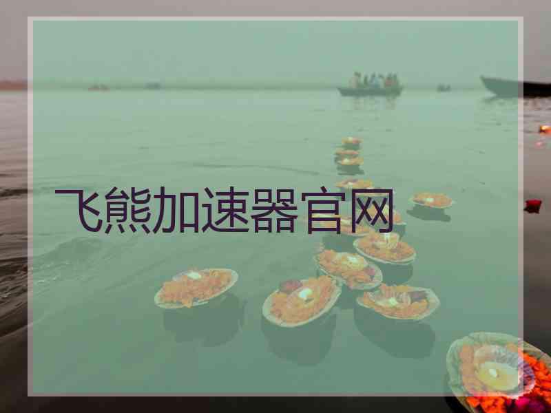 飞熊加速器官网