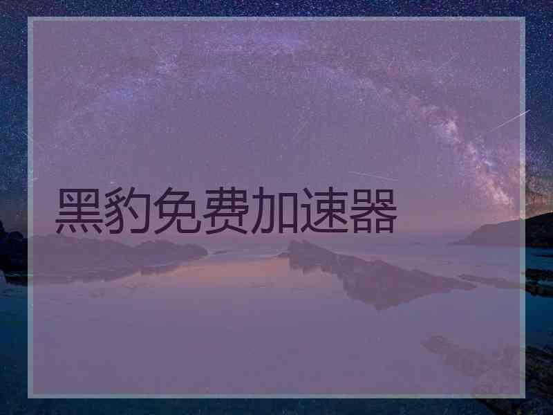黑豹免费加速器
