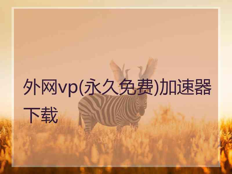 外网vp(永久免费)加速器下载